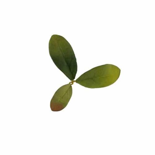 Novritsch Leaf Camo LC2 Azalea Emerald