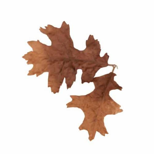 Novritsch Leaf Camo LC4 Oak Bronze